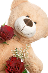 Teddy with red roses