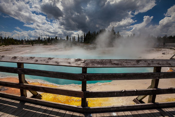 Fototapeta premium Yellowstone