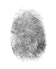 fingerprint isolated on white