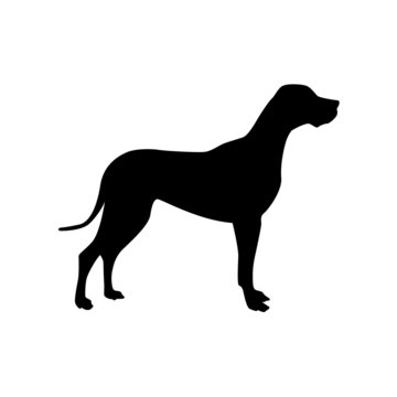 Logo Dog, alano # Vector