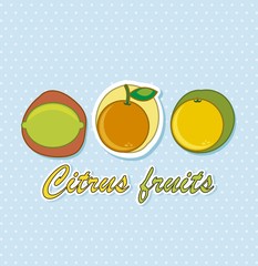 citrus icons