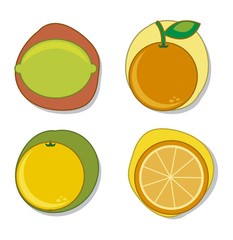 citrus icons