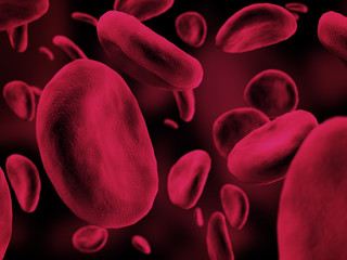 Red blood cells