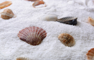 sea salt