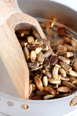 Mariendistel,  Silybum marianum