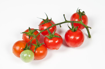 Grappolo di pomodori su sfondo bianco