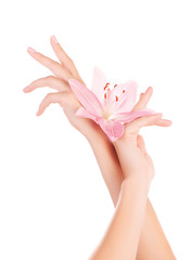 Female hands with lily flowers