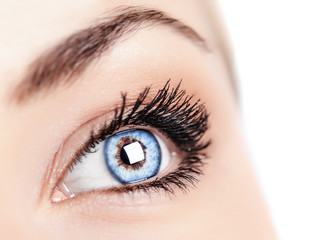 Female blue eye