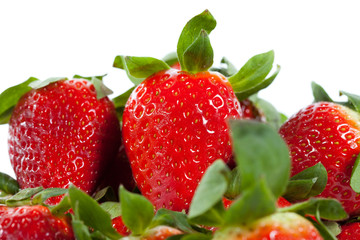 Fresh Strawberries