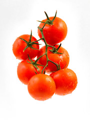 Tomato Isolated white background