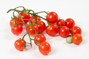 grappolo di pomodori su sfondo bianco