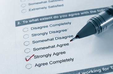 business survey