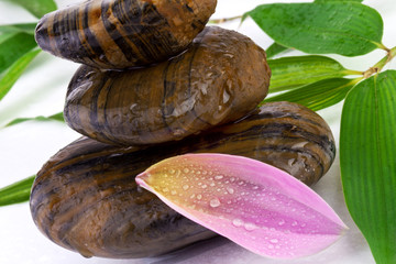 spa concept, flower petal with zen stones and bamboo leaves