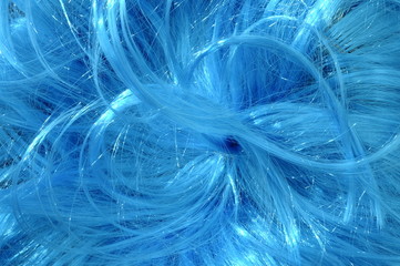 Close up of blue hairs