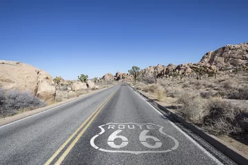 Rolgordijnen Joshua Tree Desert Highway met Route 66-bord © trekandphoto