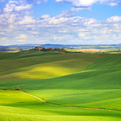 Tuscany, Crete Senesi green fields and rolling hills, Italy.