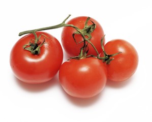 Closeup of tomatoes on the vine isolated on white