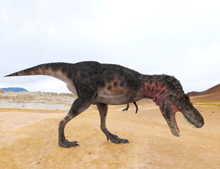 Fototapeta premium tarbosaurus eattin side view
