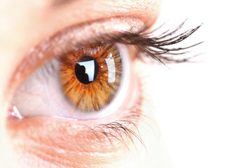 woman eye with long eyelashes. Space for text.