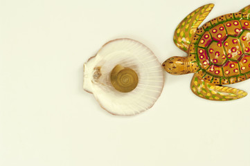 Texture turtle and shell arranged by concepts