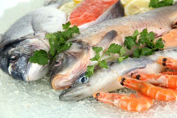 Fresh seafood on ice