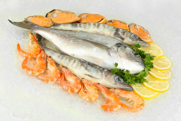 Fresh seafood on ice