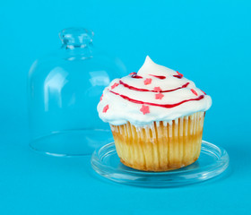 Cupcake on saucer with glass cover, on color background