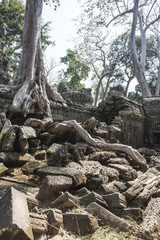 Fototapeta premium Ta Phrom. Siem Reap. Cambodia