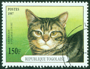 stamp printed in Togo featuring an American Shorthair cat