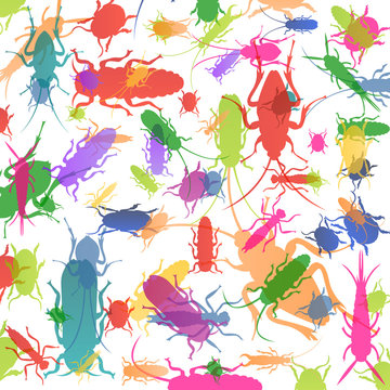 Insects and bugs colorful silhouettes illustration background