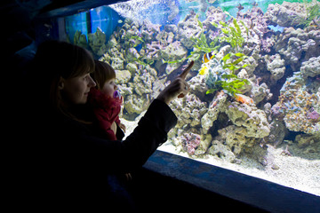 visitatori all'acquario