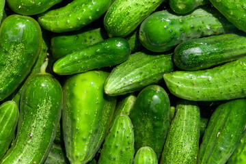 cucumbers