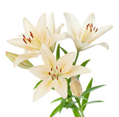 White lily bouquet