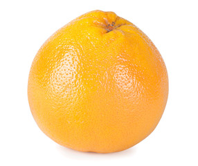 Grapefruit on a white background