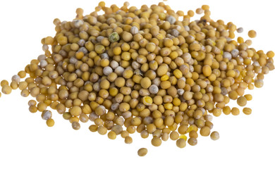 yellow mustard seeds