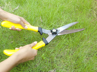 Clippers on the grass