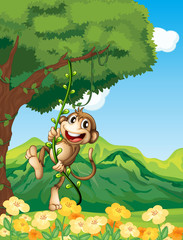 A monkey clinging at the vine plant