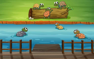 Deurstickers Een groep schildpadden bij de rivier © GraphicsRF