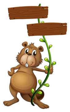 A beaver holding a vine plant with signboards