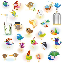 Abwaschbare Fototapete Vögel in Käfigen Großes Cartoon-Vogel-Set