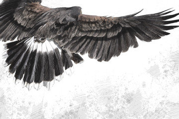 low-flying eagle illustration over artistic background, made wit