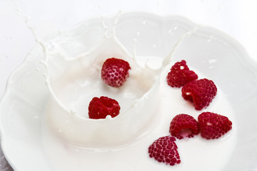 Himbeere fällt in Milch  4