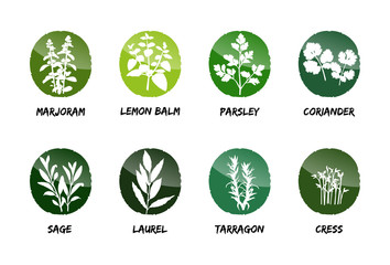 herbs vector button