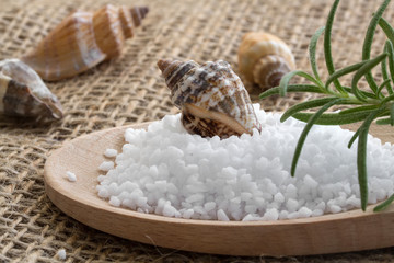 Spa background with sea salt, shells and rosemary