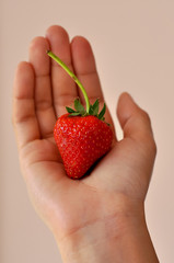 Obraz premium fresh strawberry