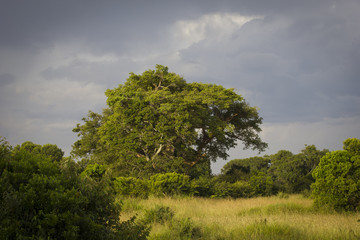 Paisaje nuboso en Africa