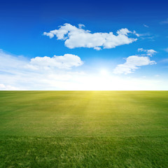 Fototapeta premium Green field landscape