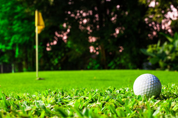 golf ball pitching for green