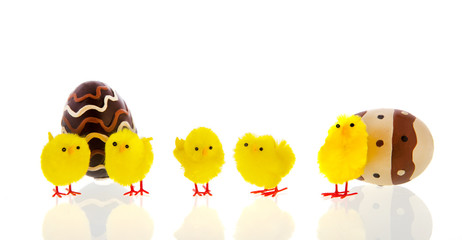 Chocolate eggs with chicks