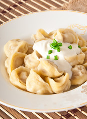Russian national ravioli with sour cream on a plate